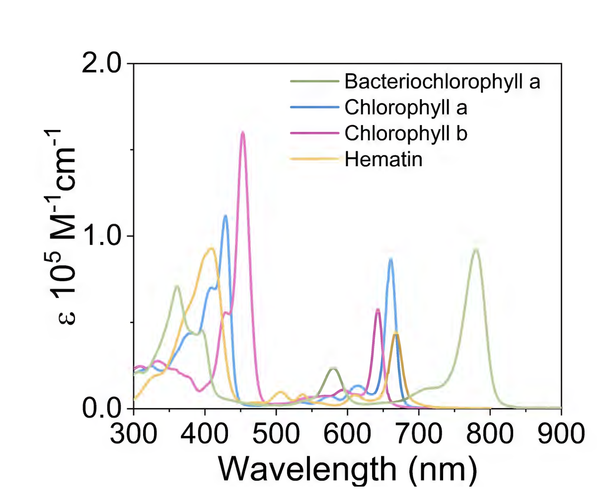 Absorption spectroscopy