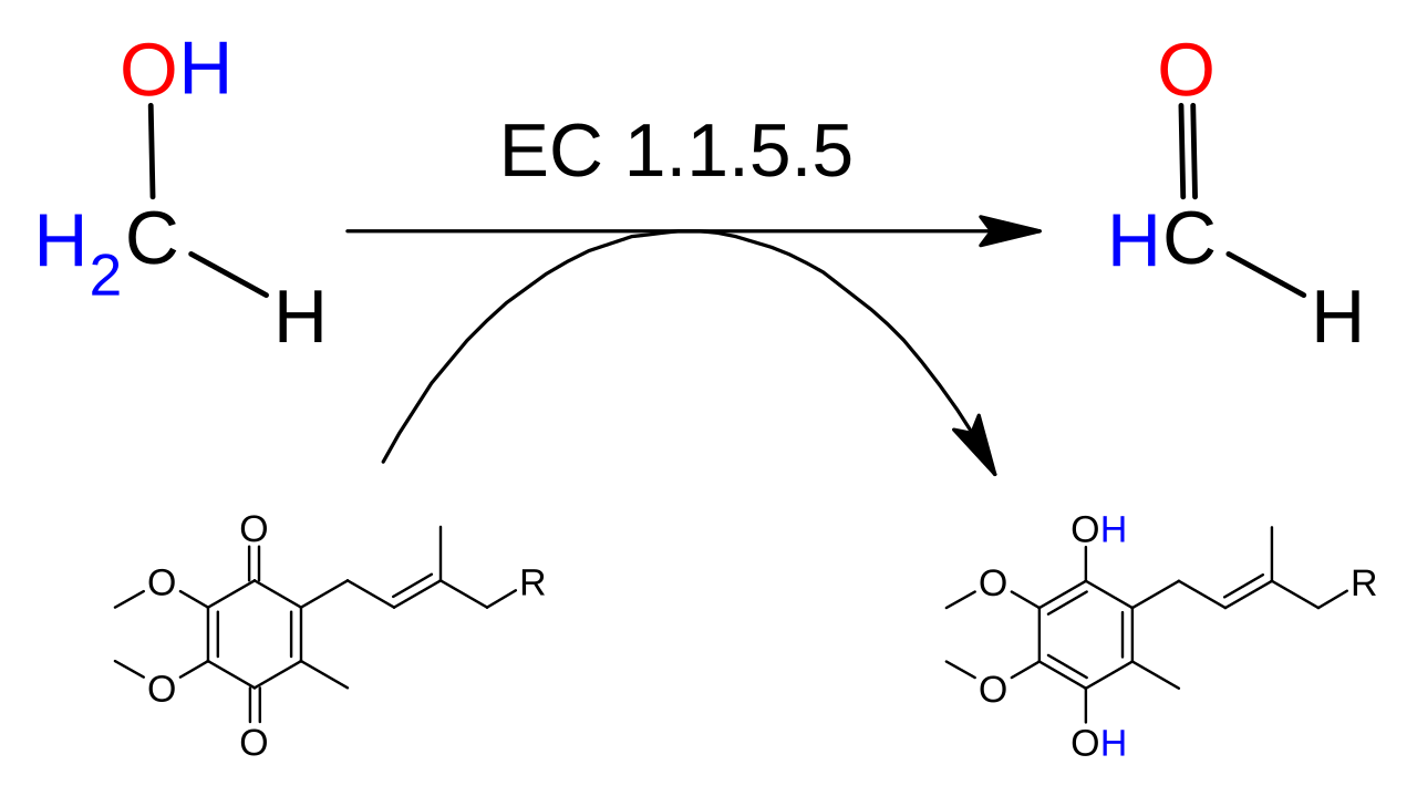 Alcohol (chemistry)